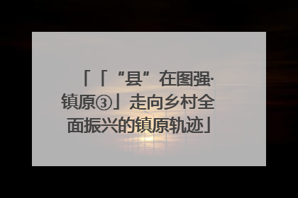「“县”在图强·镇原③」走向乡村全面振兴的镇原轨迹