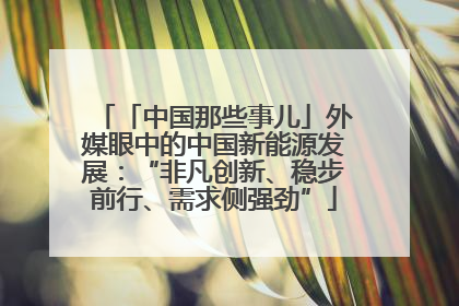「中国那些事儿」外媒眼中的中国新能源发展：“非凡创新、稳步前行、需求侧强劲”