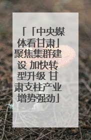 「中央媒体看甘肃」聚焦集群建设 加快转型升级 甘肃支柱产业增势强劲