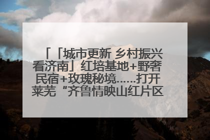 「城市更新 乡村振兴看济南」红培基地+野奢民宿+玫瑰秘境……打开莱芜“齐鲁情映山红片区”的破圈秘籍