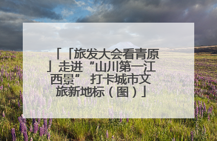 「旅发大会看青原」走进“山川第一江西景” 打卡城市文旅新地标（图）