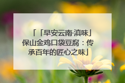 「早安云南·滇味」保山金鸡口袋豆腐：传承百年的匠心之味