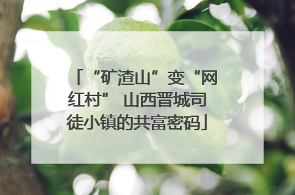 “矿渣山”变“网红村” 山西晋城司徒小镇的共富密码