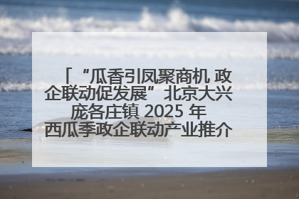 “瓜香引凤聚商机 政企联动促发展”北京大兴庞各庄镇 2025 年西瓜季政企联动产业推介活动圆满举行