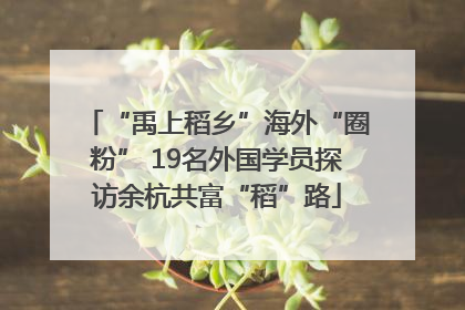 “禹上稻乡”海外“圈粉” 19名外国学员探访余杭共富“稻”路