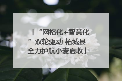 “网格化+智慧化”双轮驱动 柘城县全力护航小麦夏收