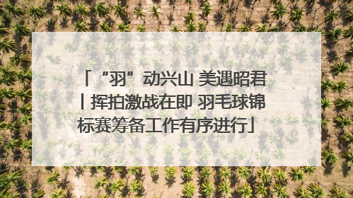 “羽”动兴山 美遇昭君丨挥拍激战在即 羽毛球锦标赛筹备工作有序进行
