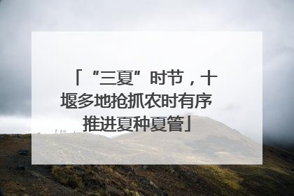 “三夏”时节，十堰多地抢抓农时有序推进夏种夏管