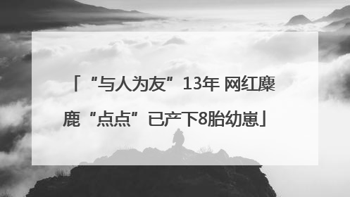 “与人为友”13年 网红麋鹿“点点”已产下8胎幼崽