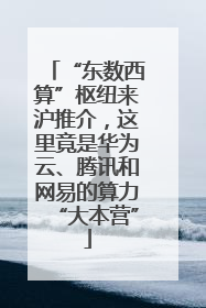 “东数西算”枢纽来沪推介，这里竟是华为云、腾讯和网易的算力“大本营”