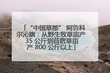 “中国草都” 阿鲁科尔沁旗：从野生牧草亩产 35 公斤到苜蓿草亩产 800 公斤以上