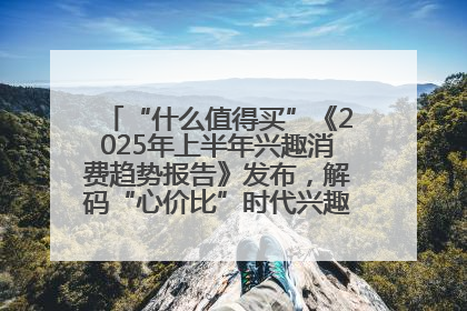 “什么值得买”《2025年上半年兴趣消费趋势报告》发布，解码“心价比”时代兴趣消费新范式