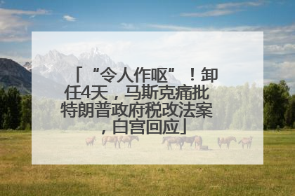 “令人作呕”！卸任4天，马斯克痛批特朗普政府税改法案，白宫回应
