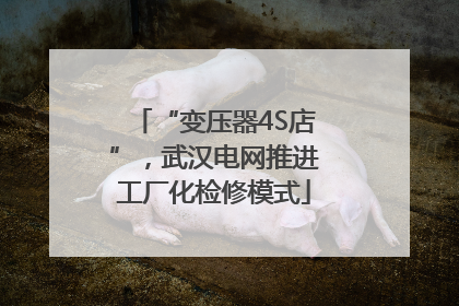 “变压器4S店”，武汉电网推进工厂化检修模式