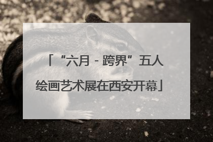 “六月 - 跨界”五人绘画艺术展在西安开幕