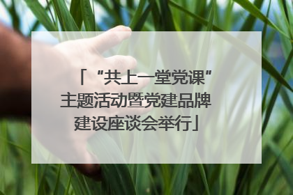 “共上一堂党课”主题活动暨党建品牌建设座谈会举行
