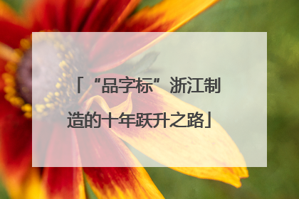 “品字标”浙江制造的十年跃升之路