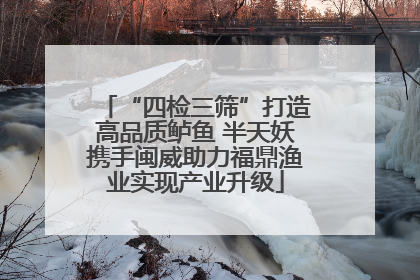 “四检三筛”打造高品质鲈鱼 半天妖携手闽威助力福鼎渔业实现产业升级