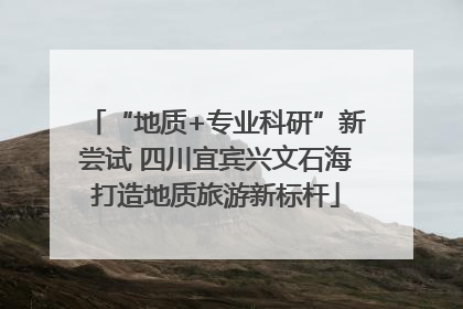 “地质+专业科研”新尝试 四川宜宾兴文石海打造地质旅游新标杆