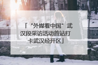 “外媒看中国”武汉段采访活动首站打卡武汉经开区
