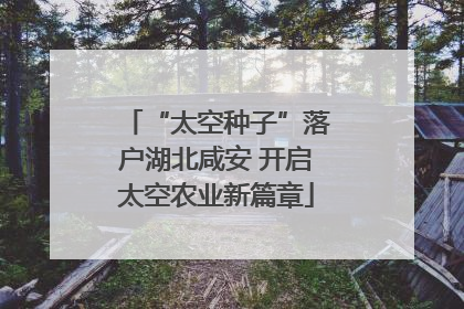 “太空种子”落户湖北咸安 开启太空农业新篇章
