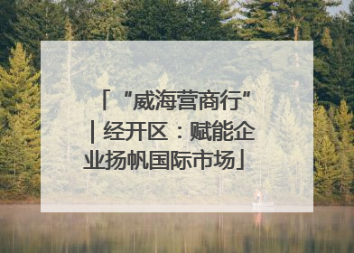 “威海营商行”｜经开区：赋能企业扬帆国际市场