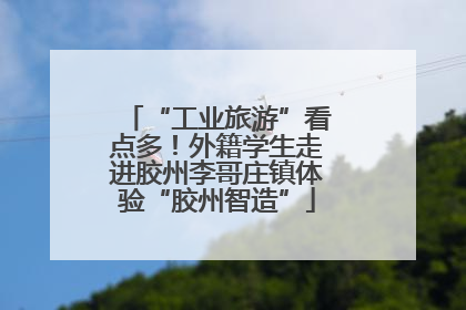 “工业旅游”看点多！外籍学生走进胶州李哥庄镇体验“胶州智造”
