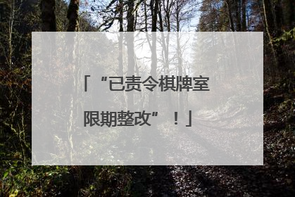 “已责令棋牌室限期整改”！