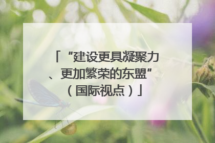 “建设更具凝聚力、更加繁荣的东盟”（国际视点）