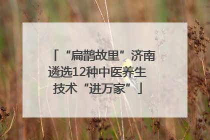 “扁鹊故里”济南遴选12种中医养生技术“进万家”
