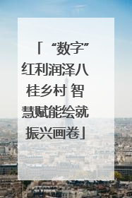 “数字”红利润泽八桂乡村 智慧赋能绘就振兴画卷