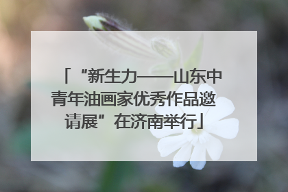“新生力——山东中青年油画家优秀作品邀请展”在济南举行