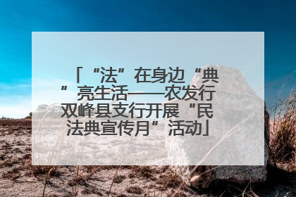 “法”在身边“典”亮生活——农发行双峰县支行开展“民法典宣传月”活动