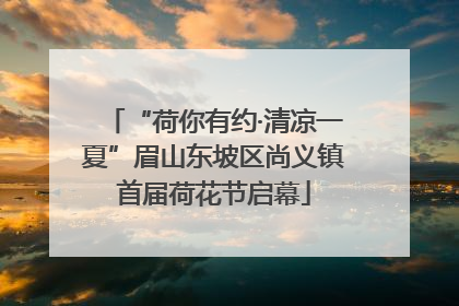 “荷你有约·清凉一夏”眉山东坡区尚义镇首届荷花节启幕