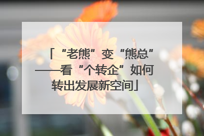 “老熊”变“熊总”——看“个转企”如何转出发展新空间