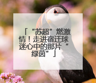 “苏超”燃激情！走进宿迁球迷心中的那片“绿茵”