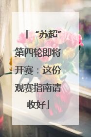 “苏超”第四轮即将开赛：这份观赛指南请收好