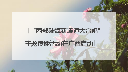“西部陆海新通道大合唱”主题传播活动在广西启动