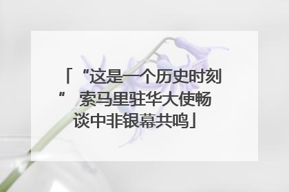 “这是一个历史时刻” 索马里驻华大使畅谈中非银幕共鸣