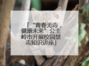 “青春无毒，健康未来”公主岭市开展校园禁毒知识讲座