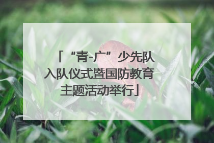 “青-广”少先队入队仪式暨国防教育主题活动举行