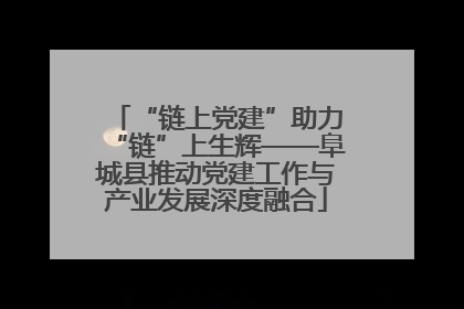 “链上党建”助力“链”上生辉——阜城县推动党建工作与产业发展深度融合