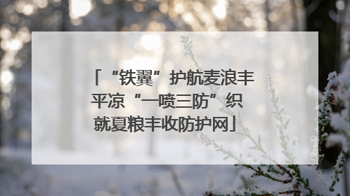 “铁翼”护航麦浪丰 平凉“一喷三防”织就夏粮丰收防护网