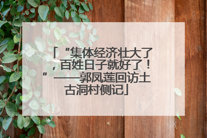 “集体经济壮大了，百姓日子就好了！”——郭凤莲回访土古洞村侧记