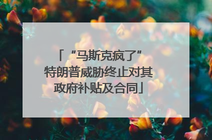 “马斯克疯了” 特朗普威胁终止对其政府补贴及合同