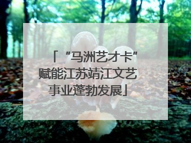 “马洲艺才卡”赋能江苏靖江文艺事业蓬勃发展