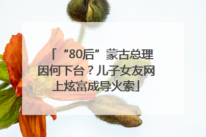 “80后”蒙古总理因何下台？儿子女友网上炫富成导火索