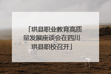 珙县职业教育高质量发展座谈会在四川珙县职校召开