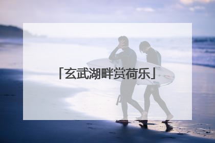 玄武湖畔赏荷乐