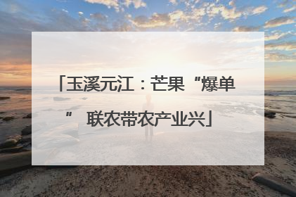 玉溪元江：芒果“爆单” 联农带农产业兴